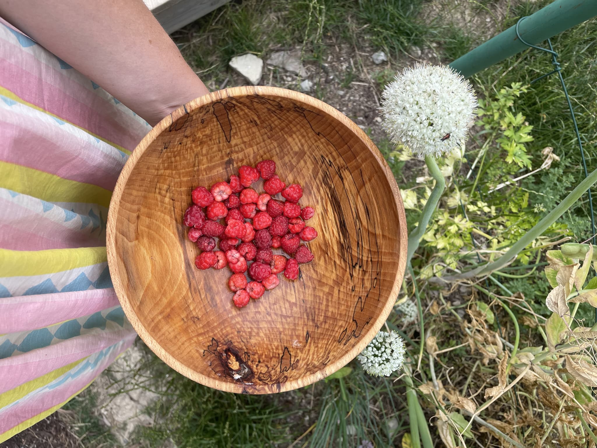 Raspeberry from my garden