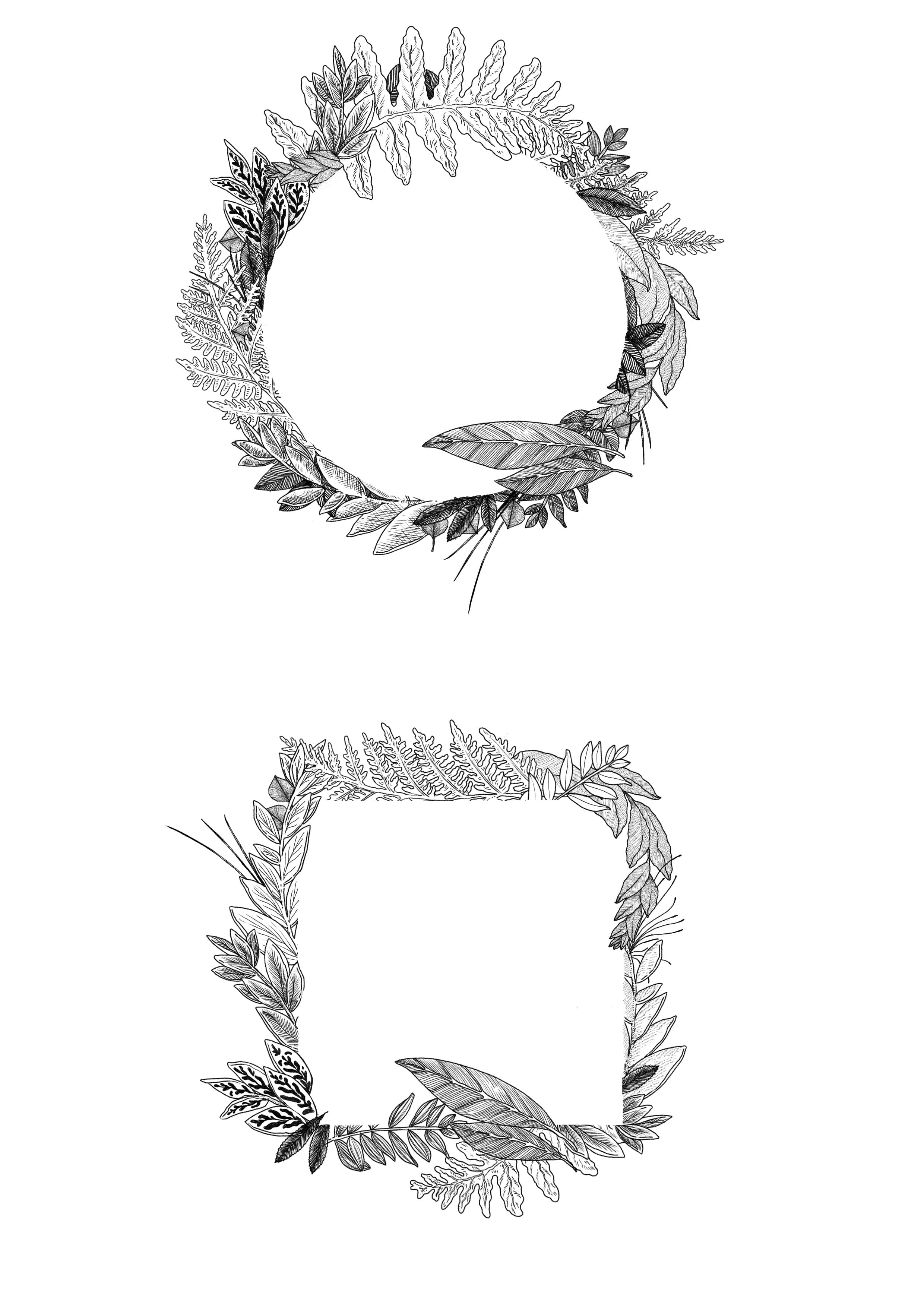 Several circular and oval ornamental frames made of detailed botanical leaves and flowers in fine line art.