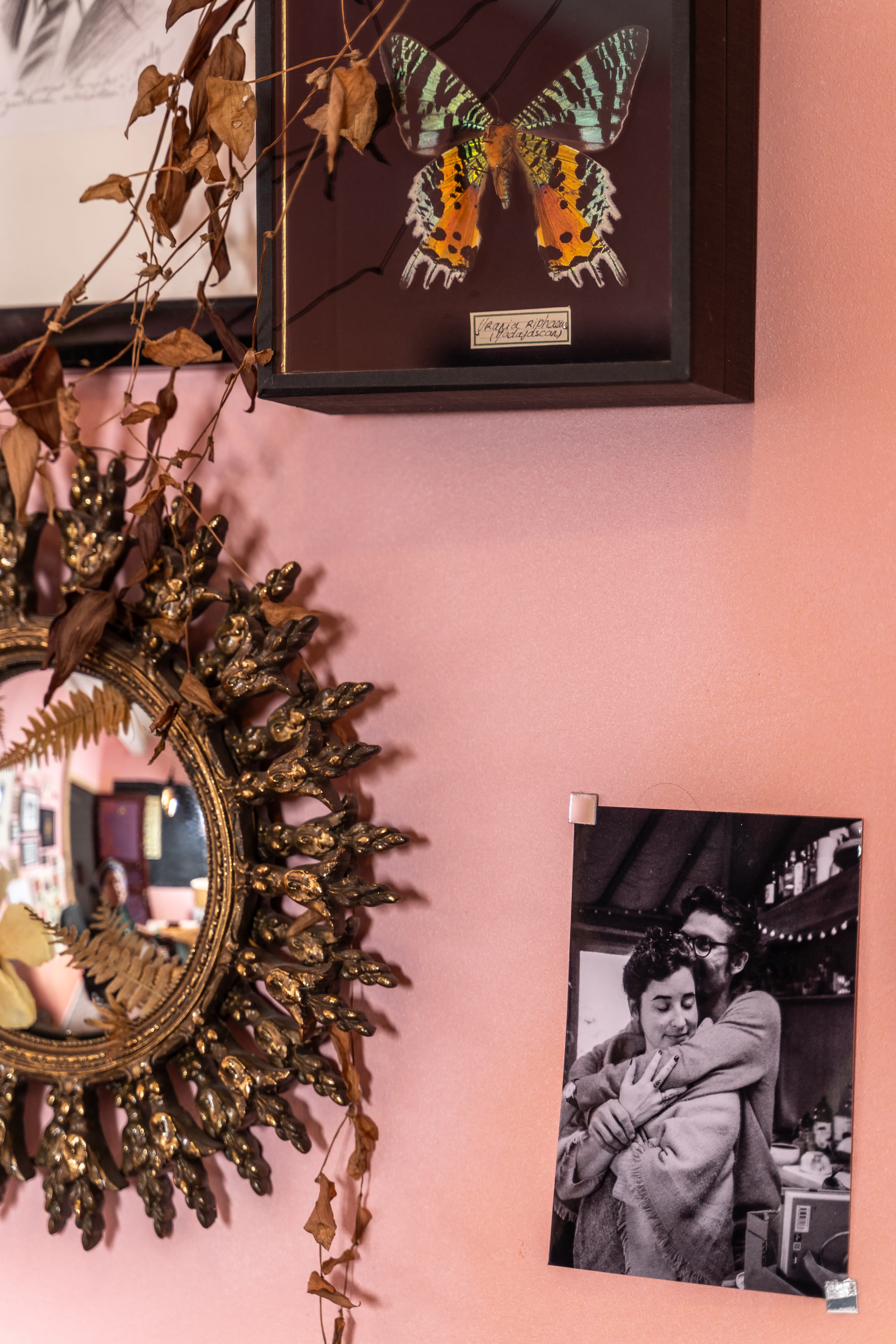 Studio wall adorned with a butterfly illustration and framed mirror in gallery style