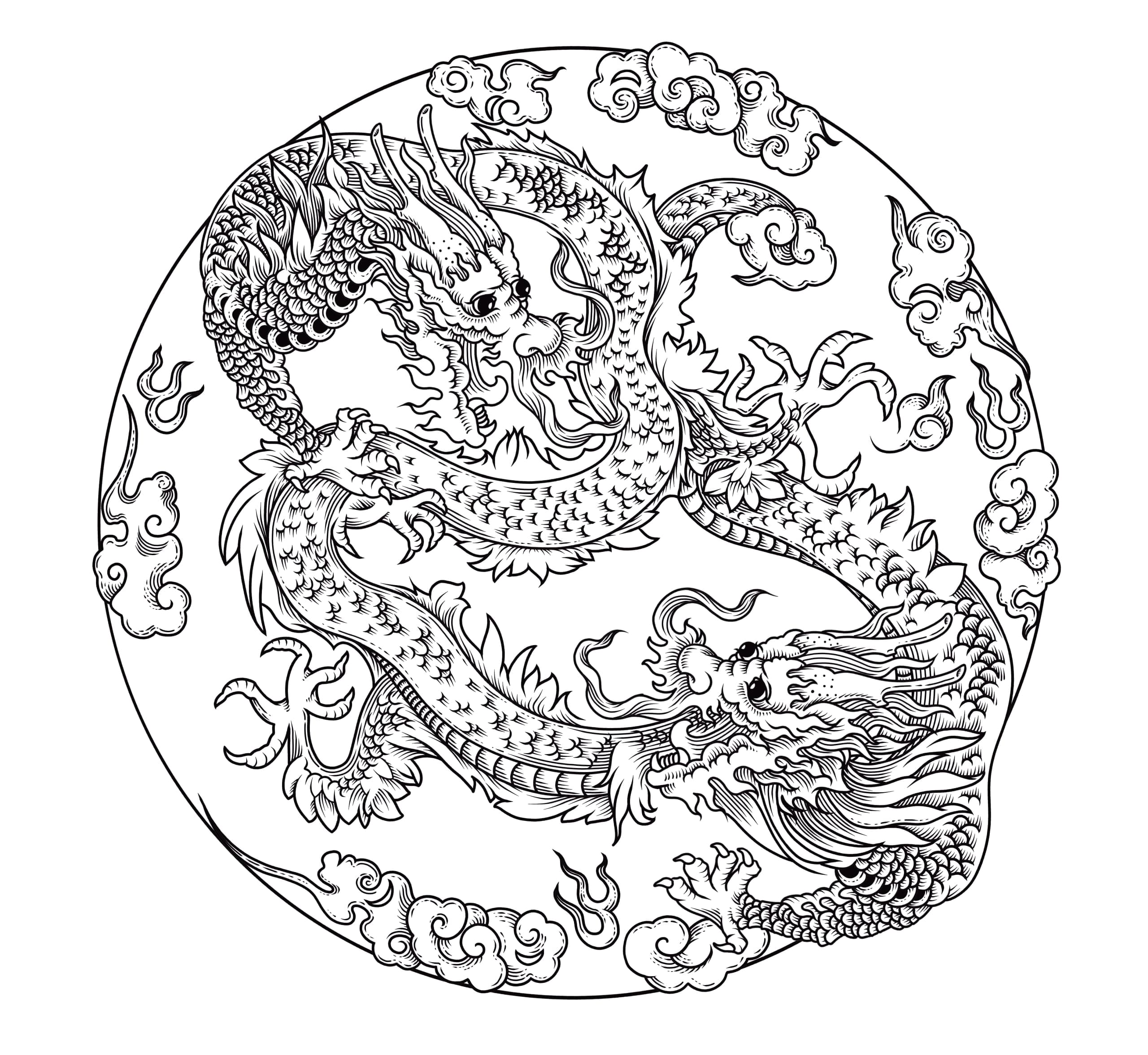 fine line illustration of a dragon for Cindy Chao
