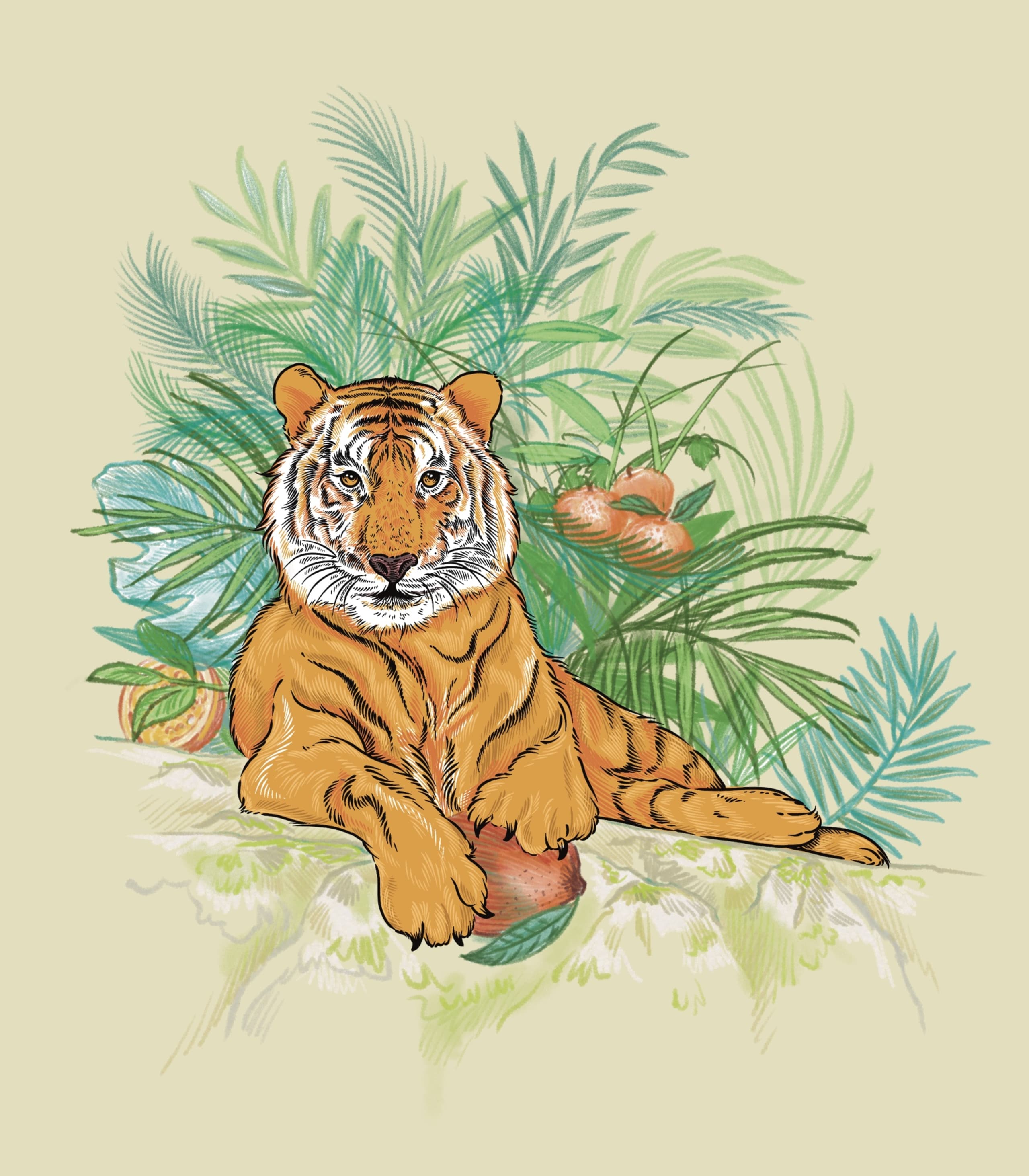 fine line illustration of a tiger at rest, full body