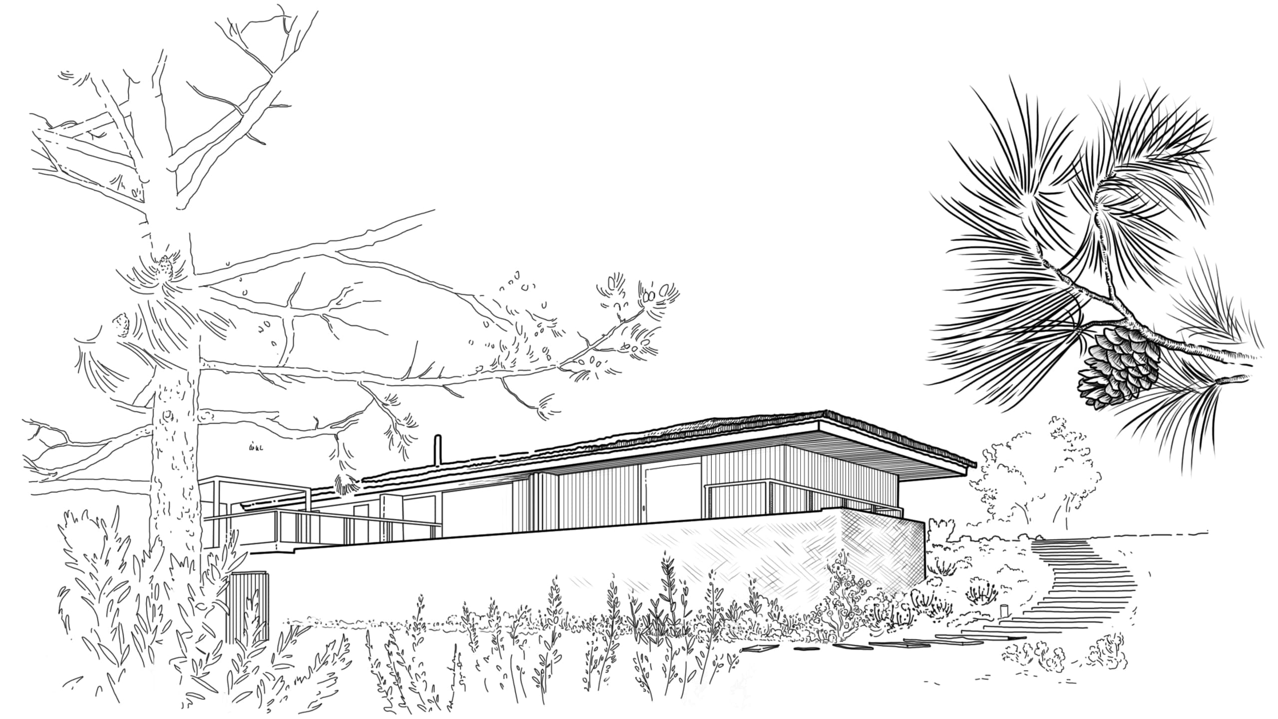 Line drawing of a charming country house surrounded by various trees and dense forest elements in fine detail.