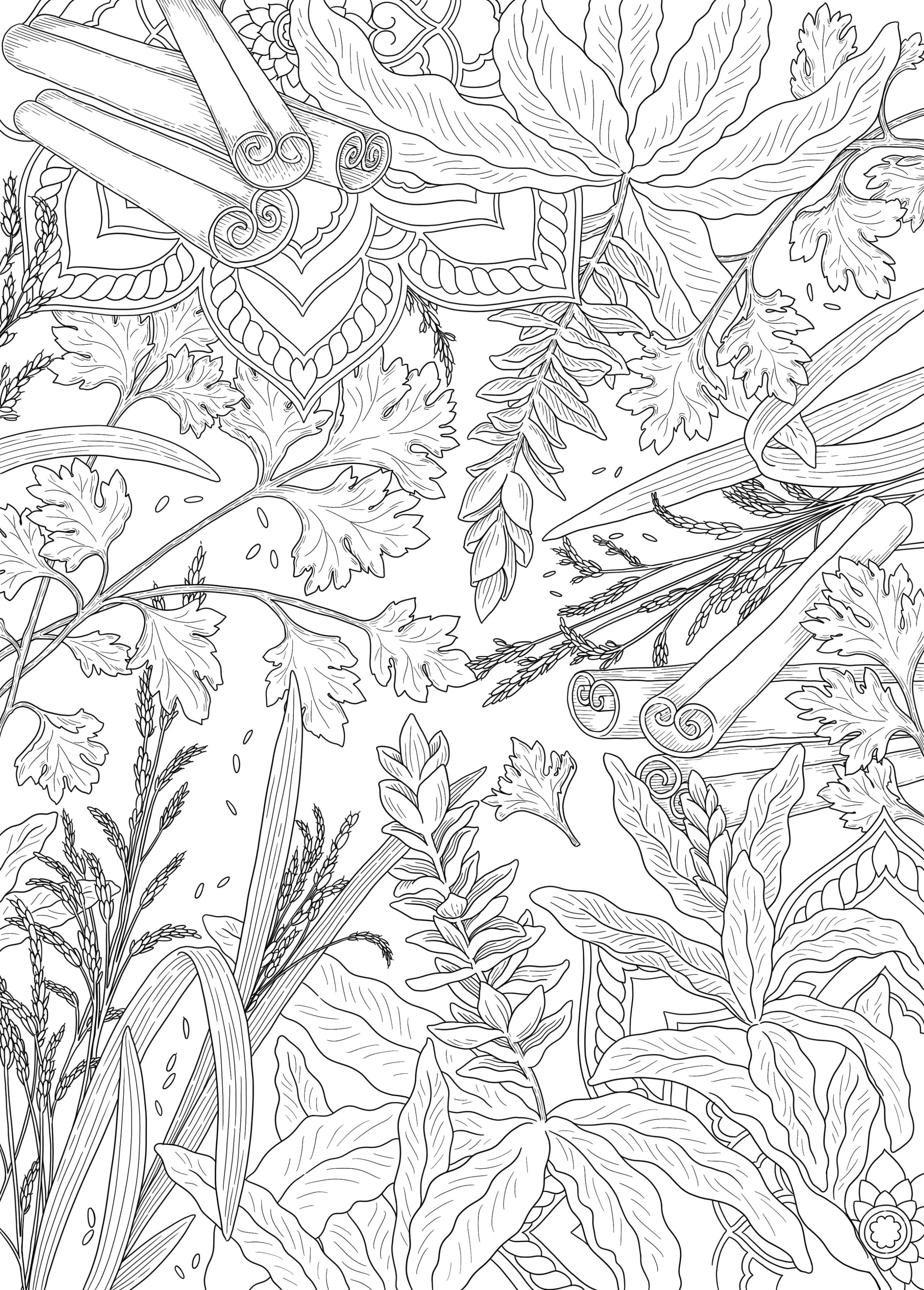 botanical illustration of ginger flower and cinnamon branches