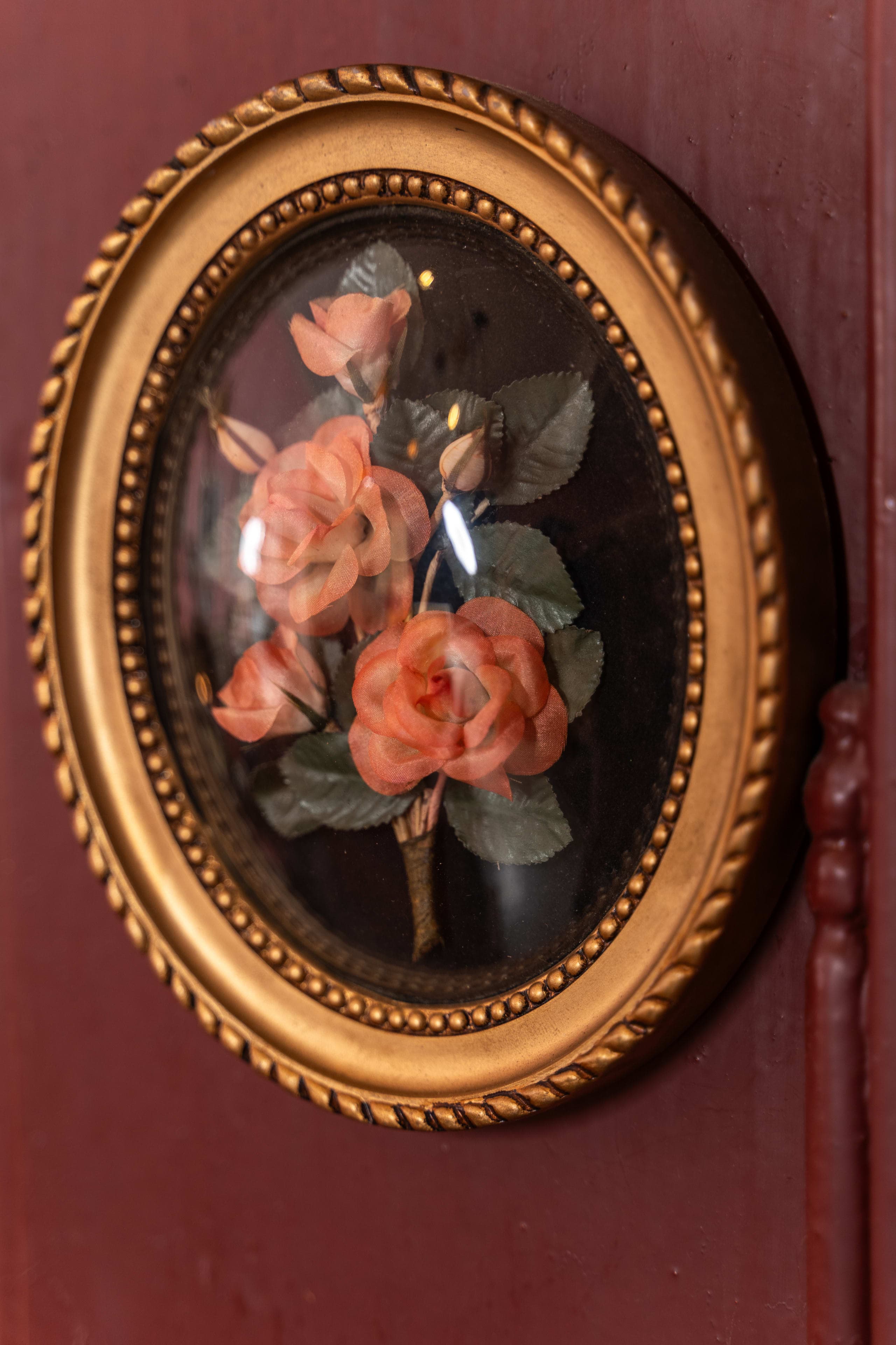 Botanical illustration under glass in a gilt frame, gallery-style display piece