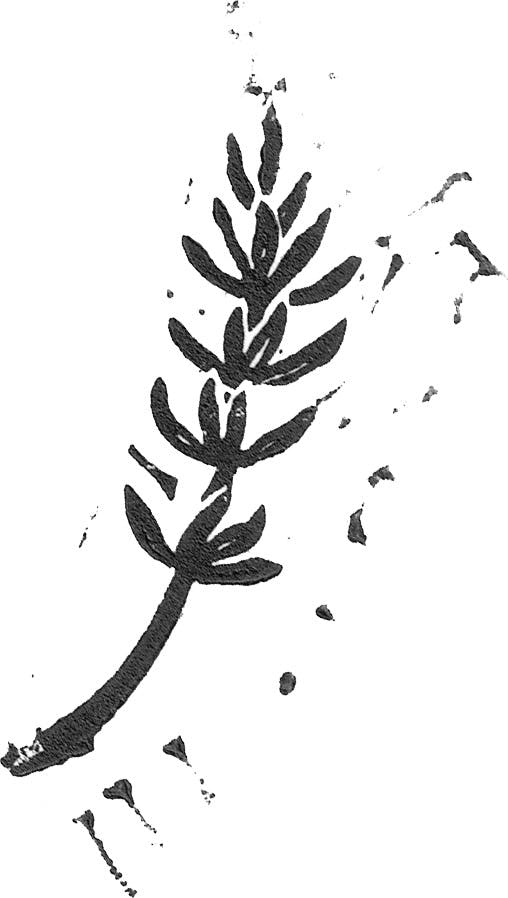 Branch with leaves. Linocarved and printed for le Breuvage