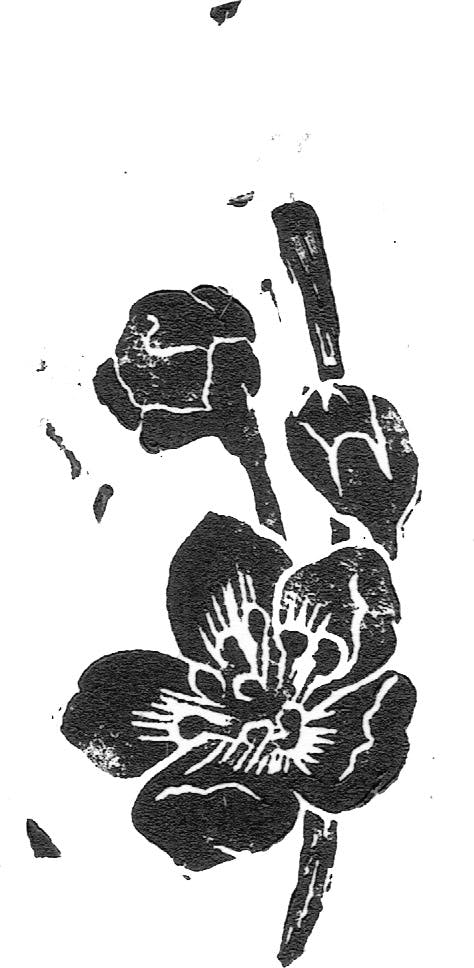 Cherry flower and banch linocarved and printed. Ingredients for Le Breuvage identity