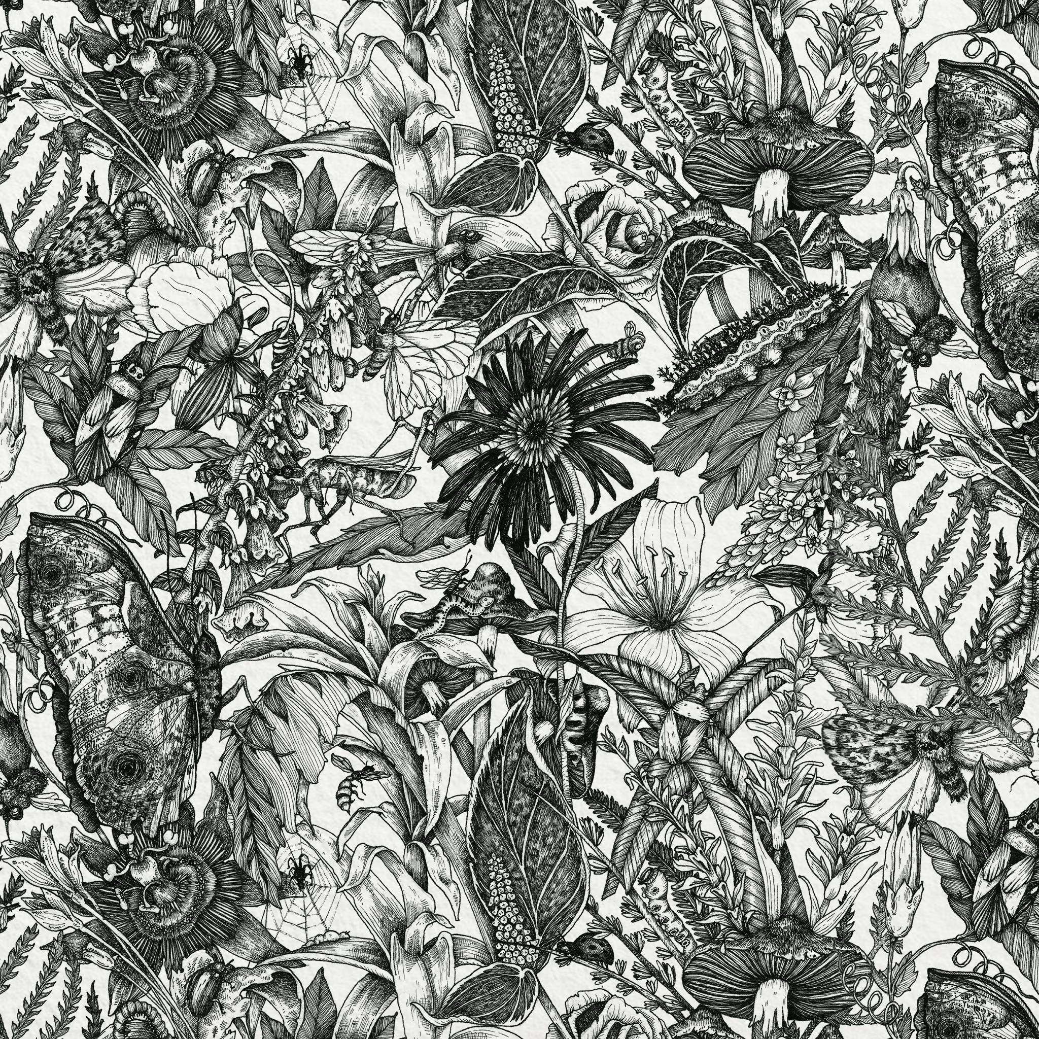 Botanical drawing for a wall paper