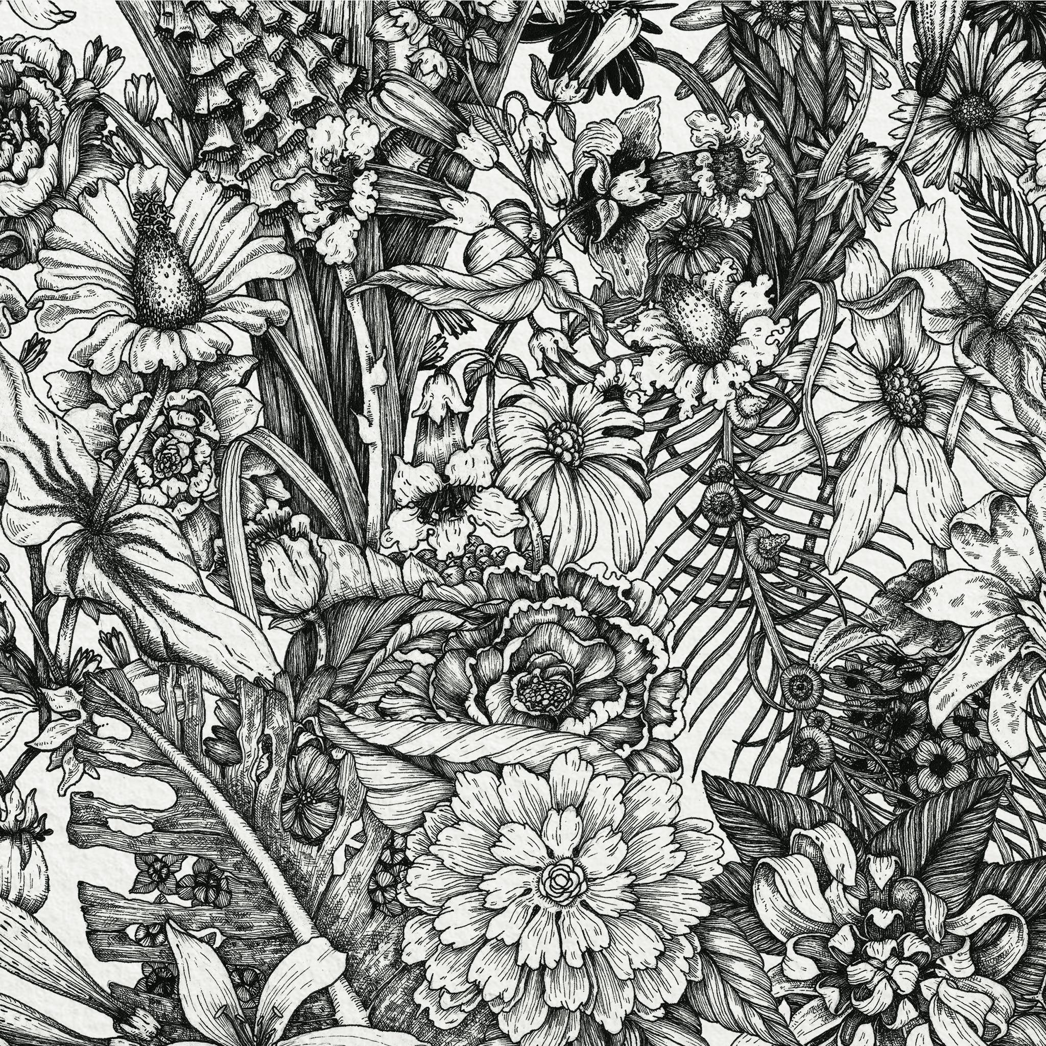 Black and white illustration for a pattern